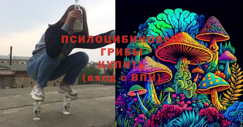 Псилоцибиновые грибы MAGIC MUSHROOMS  Клинцы 